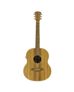 Cole Clark Little Lady 2 All Blackwood, with pickup