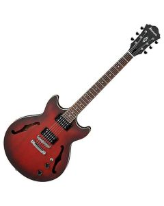 Ibanez AM53 SRF Artcore Guitar 1