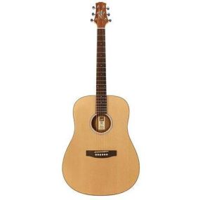 Ashton D20 NTM Left-Handed Acoustic Guitar 1