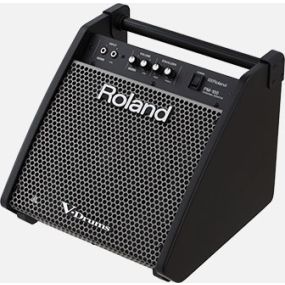 Roland PM100 80W Personal Drum Monitor (PM-100)