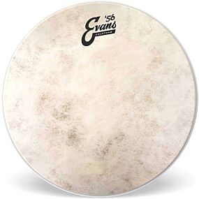 Evans Calftone Tom Batter, 14 Inch 1