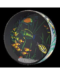Remo 12" Ocean Drum in Fish Graphic