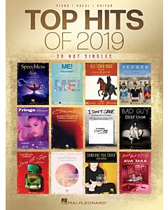 TOP HITS OF 2019 PVG