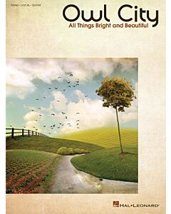 OWL CITY - ALL THINGS BRIGHT AND BEAUTIFUL PVG