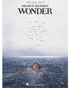 SHAWN MENDES - WONDER PVG