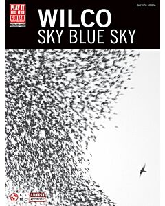 Wilco Sky Blue Sky Guitar Tab Pili