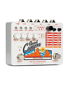 Electro Harmonix Grand Canyon Delay/Looper