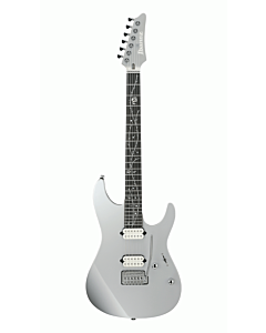Ibanez TOD10 in Silver